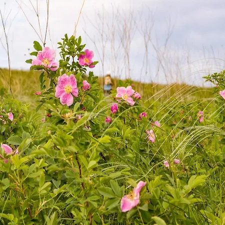 Appartement Couple Hideaway At Hambachtal Boutique Oberhambach