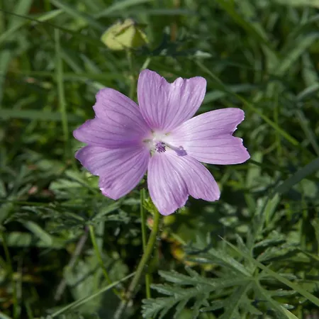 Couple Hideaway At Hambachtal Boutique *