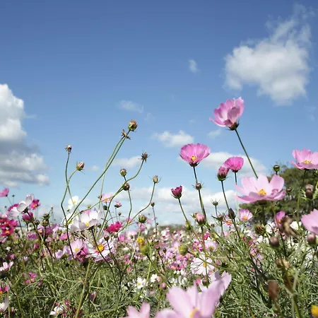 Appartement Couple Hideaway At Hambachtal Boutique
