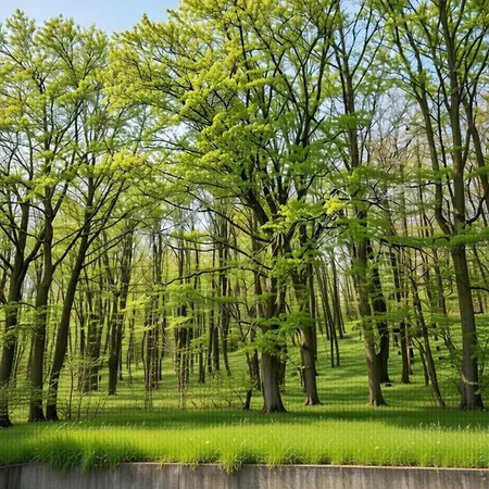 Appartement Couple Hideaway At Hambachtal Boutique