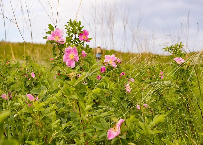 Apartamento Couple Hideaway At Hambachtal Boutique Oberhambach