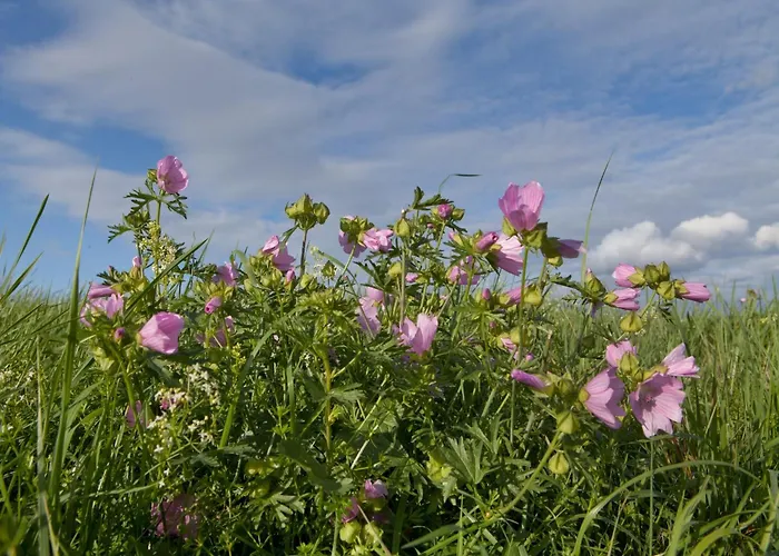 Couple Hideaway At Hambachtal Boutique