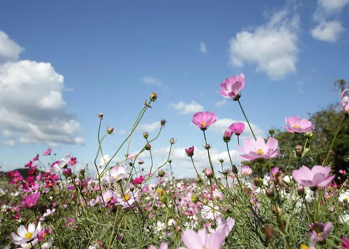 Apartamento Couple Hideaway At Hambachtal Boutique