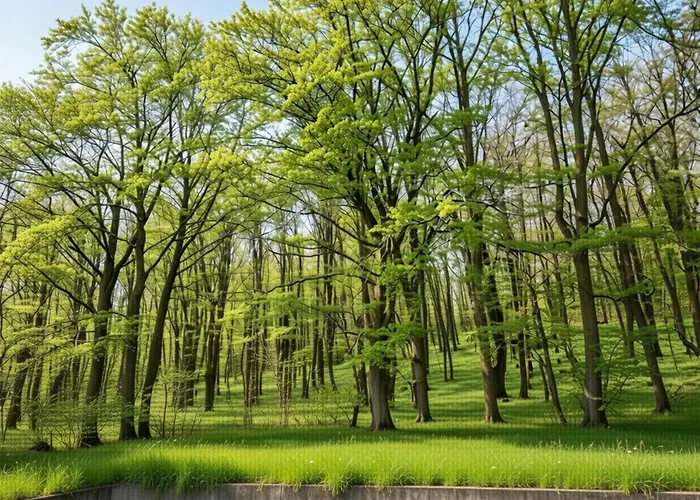 Apartamento Couple Hideaway At Hambachtal Boutique